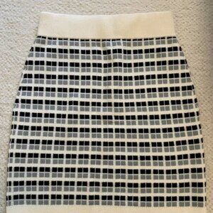 Aritzia Babaton Chronicle Skirt NWOT